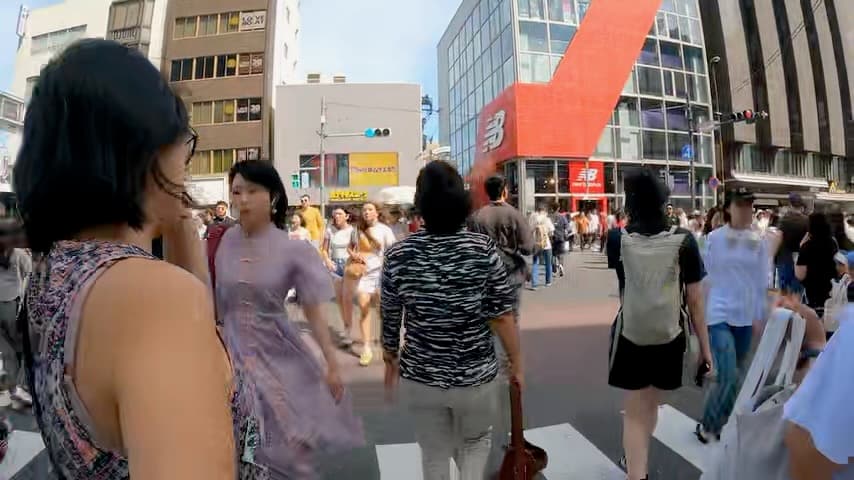 Human Navigation